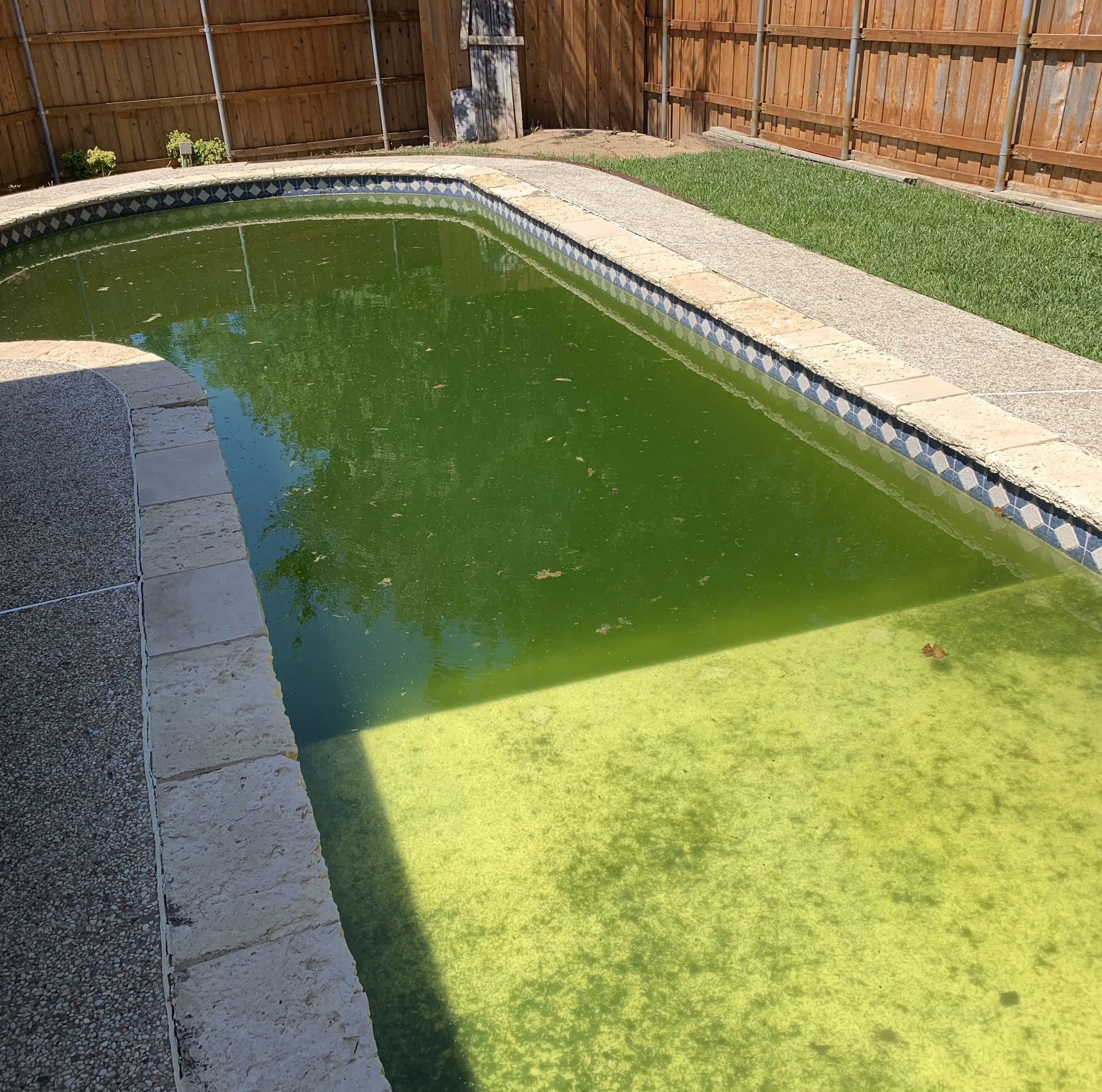 Swimming Pool Leak: Green Pool